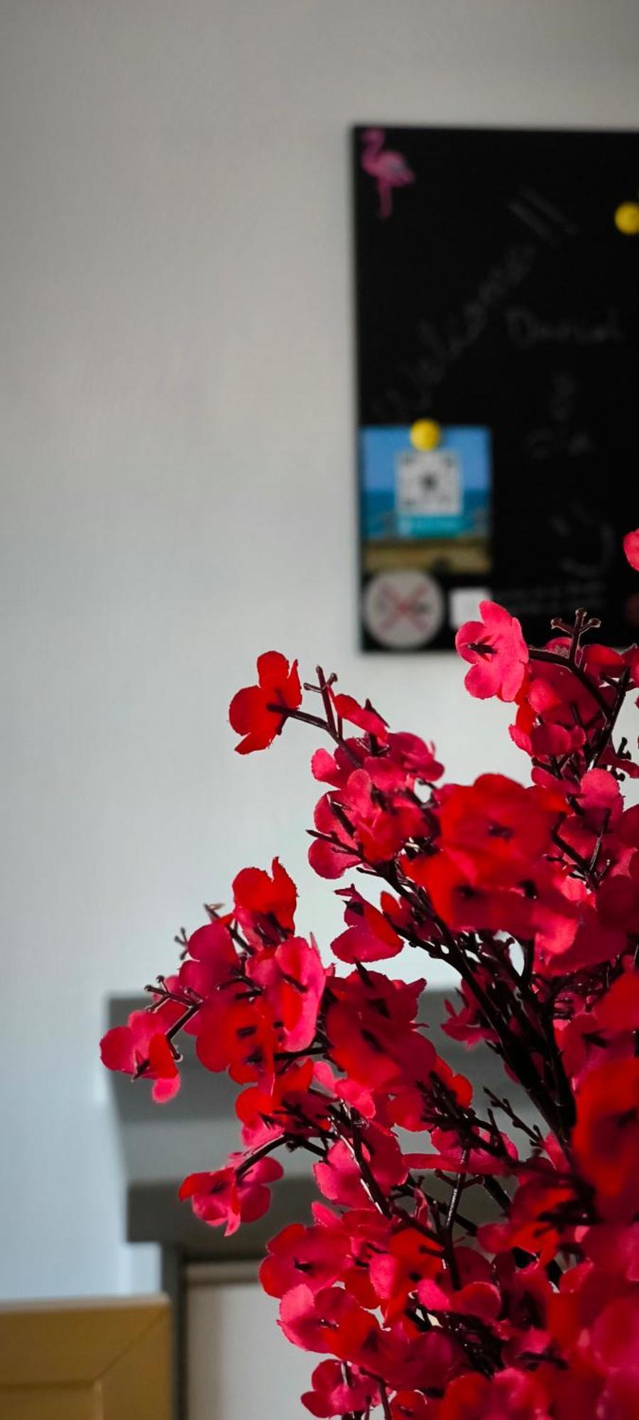 Flamingos View Apartment In Cabo De Gata El Pozo del Cabo エクステリア 写真